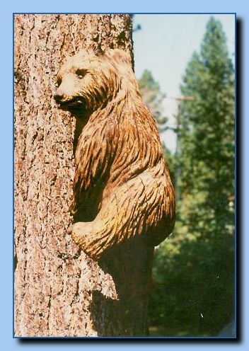 1-56 bear attached to tree, 1 leaning